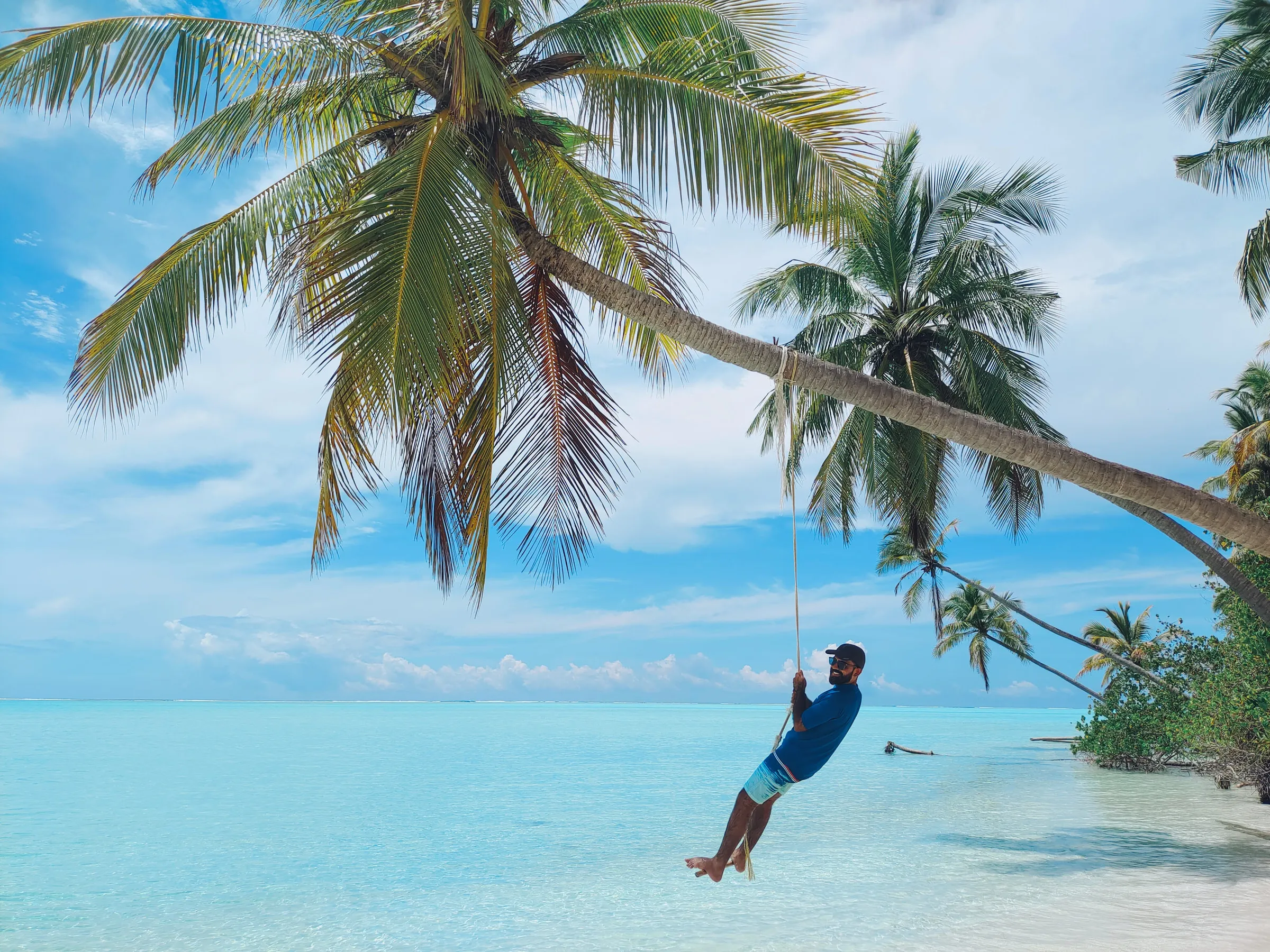 A swing hanging from a palm tree over the water on the uninhabited island